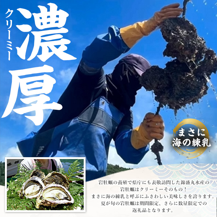å€ã«çŸå³ã岩ãã çŽ3.0kg ïŒæ®»ã®ééå«ãïŒãéŠçäžžæ°Žç£ãkinsei-7169