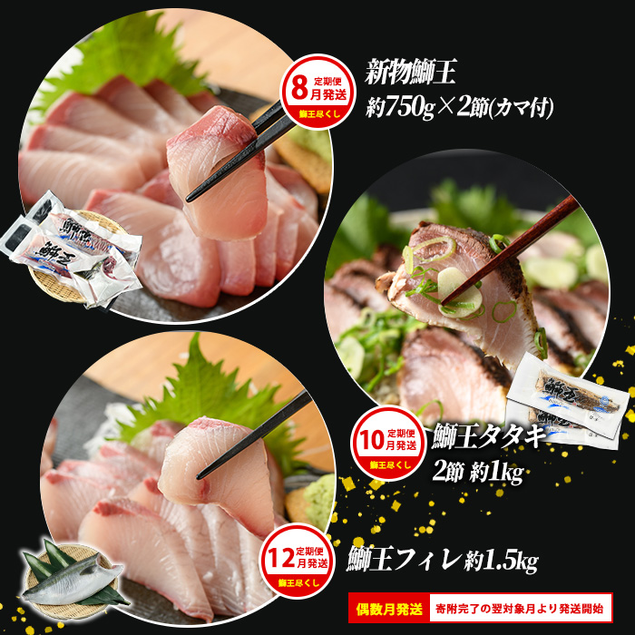 ＜定期便・2ヶ月毎 全6回＞ 鰤づくしの定期便 長島町特産「鰤王」新物鰤 ロイン フィレ 鰤カツ 漬け鰤 あら煮 鰤王タタキ 国産 鹿児島県産 産地直送【JFA】jfa-1388B