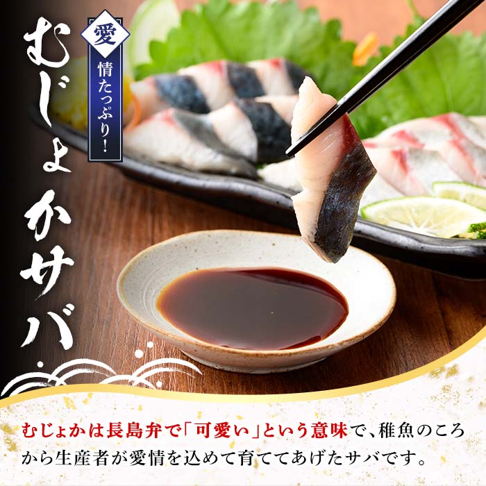 むじょかさば_jfa-461