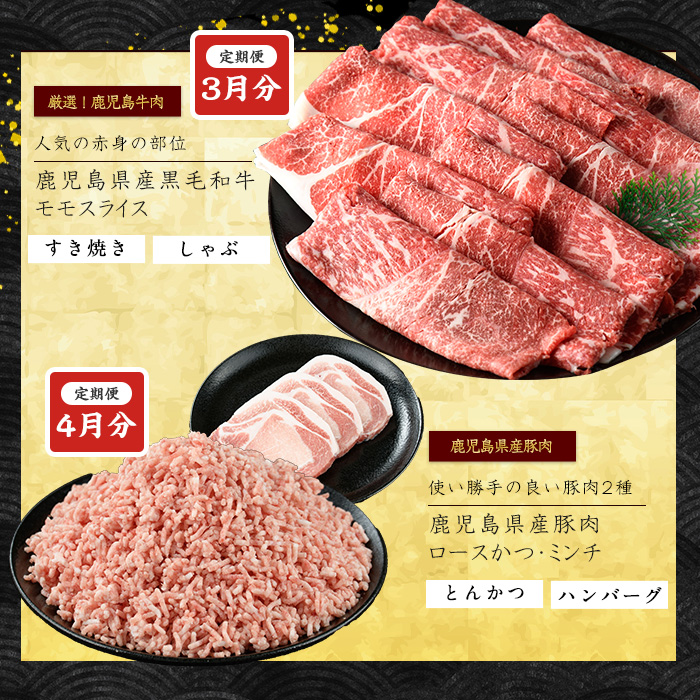 ＜定期便全6回＞黒毛和牛・豚肉ミックス定期便 総重量10kg以上 赤身 モモ 豚 ミンチ ロースかつ 豚肉 牛肉 切り落とし サーロイン 豚ロース しゃぶしゃぶ すき焼き 【スターゼン】starzen-1427