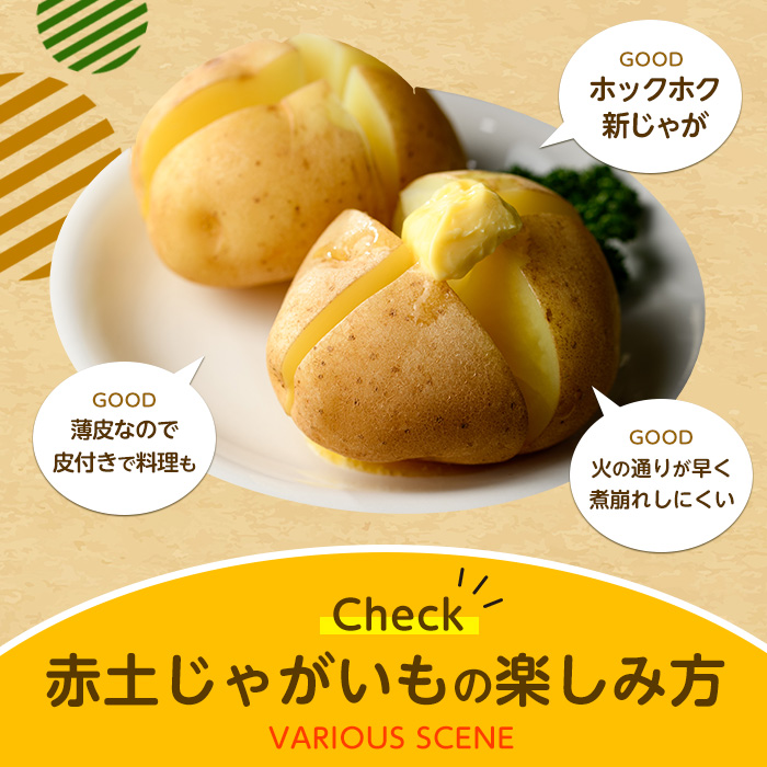 縲仙宍驕ク謇矩∈蛻・縲代∩縺壹∩縺壹@縺譁ー縺倥c縺後譏・縺倥c縺後>繧10kg_horino-7074