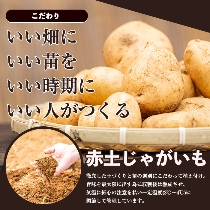 【先行予約】和喜雄さんといつみさんの熟成じゃがいも5kg【飯尾和喜雄農園】iio-7085