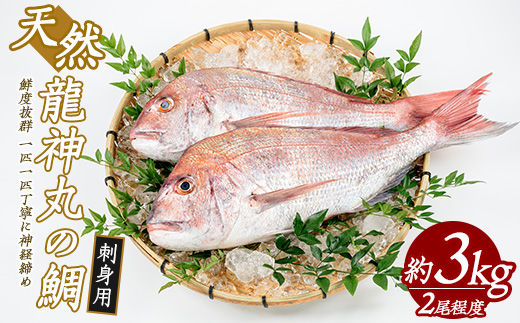 龍神丸水産の鯛 刺身用(約3kg)【龍神丸水産】ryujin-1203