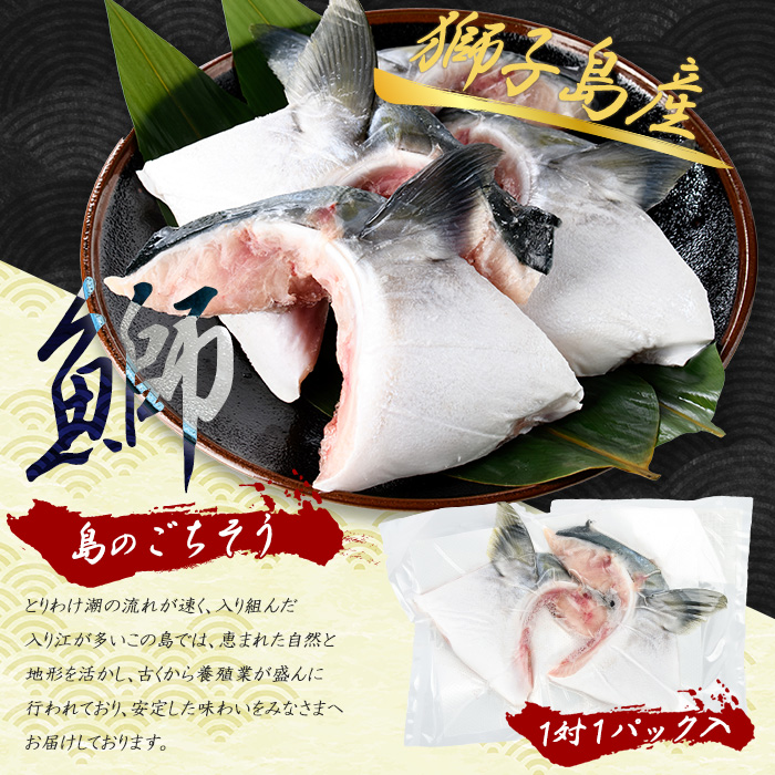 獅子島産 百年漁師の鰤 カマ (2対) 4個【島のごちそう】gochi-7048R8