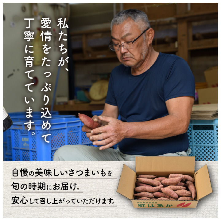 ãèš³ããã飯尟蟲å çŽ
ã¯ãã çŽ10kg è ãã ãã€ãŸãã ãµããã€ã¢ 鹿å
å³¶çç£ åœç£ é·å³¶çºç£ ã¹ã«ã¯ãã çæã飯尟蟲åã miio-7232