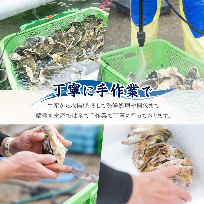 å€ã«çŸå³ã岩ãã çŽ3.0kg ïŒæ®»ã®ééå«ãïŒãéŠçäžžæ°Žç£ãkinsei-7169