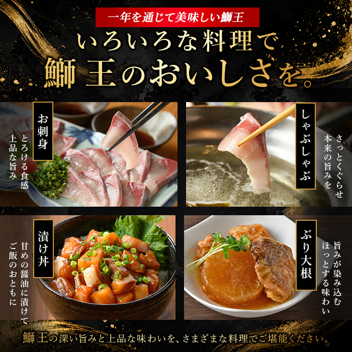 【期間限定】＼年末発送 先行予約／＜数量限定＞【2026年12月29日発送】『旅サラダ』で紹介ぶりの王様「 鰤王 」 フィレ 半身 (約1.2kg〜・フィレ1枚) 産地直送 新鮮 旨味が抜群の 長島町 特産品 ブランド ぶり 鰤 ブリ 切り身 真空 冷蔵 刺身 ぶりしゃぶ しゃぶしゃぶ 魚 魚介 人気 ランキング 年末年始発送 【JFA】jfa-1630-29