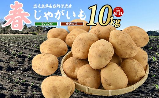 縲仙宍驕ク謇矩∈蛻・縲代∩縺壹∩縺壹@縺譁ー縺倥c縺後譏・縺倥c縺後>繧10kg_horino-7074