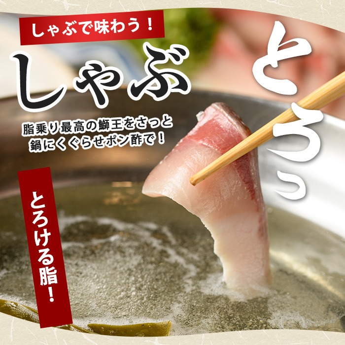 【切って盛るだけ】『旅サラダ』で紹介ぶりの王様「 鰤王 」 ロイン 2節 (約0.8kg〜1.0kg) 半身 産地直送 新鮮 旨味が抜群の 長島町 特産品 ブランド ぶり 鰤 ブリ 切り身 真空 冷蔵 刺身 ぶりしゃぶ しゃぶしゃぶ 魚 魚介 人気 ランキング 【JFA】jfa-7132