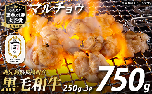 和牛カット済ホルモン（マルチョウ）250g×3パック 計750g ホルモン 牛肉 丸腸 焼肉 ホルモン 牛もつ もつ鍋 f-miyaji-7028