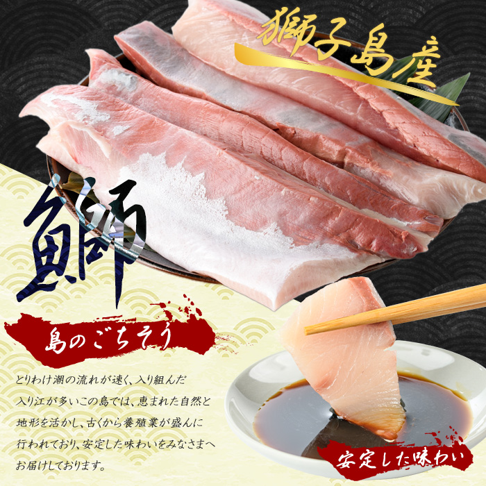 【先行予約】獅子島産 百年漁師の鰤 スキンレスロイン4パック (1匹分) 【島のごちそう】gochi-7041R8