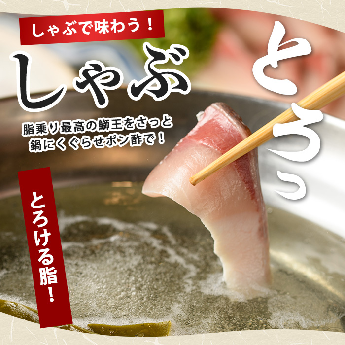 繝繝ャ繝薙〒邏ケ莉九カ繧翫ョ邇区ァ倥 魏、邇 縲 縺セ繧九#縺ィ 1譛ャ シ育エ3.8kg縲懶シ 繝ゥ繧ヲ繝ウ繝 蜈郁。御コ育エ 逕」蝨ー逶エ騾 髟キ蟲カ逕コ 迚ケ逕」蜩 繝悶Λ繝ウ繝 魏、 蜀キ阡オ 縺オ繧九&縺ィ邏咲ィ 縺カ繧 蛻コ霄ォ 縺カ繧翫@繧縺カ 縺カ繧雁、ァ譬ケ 豬キ魄ョ荳シ縲辱FA縲阻fa-7115