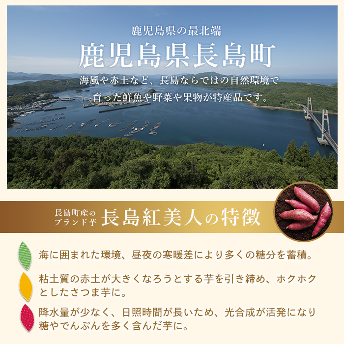 鹿児島県産さつまいも使用 ロイヤルのスイートポテト(9個)  スイートポテト 鹿児島 さつまいも菓子 スイーツ お菓子 おやつ 【ロイヤル】royal-2961