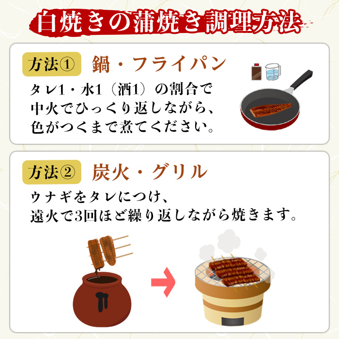 y491《定期便・全3回》国産！うなぎ白焼き(2尾×3回・タレ付き) 国産 九州産 鰻 ウナギ 有頭 魚 魚介類 かばやき 蒲焼 蒲焼き しろやき 白焼 おかず 特産品 お土産 ギフト プレゼント 冷蔵 定期便【尾方屋】