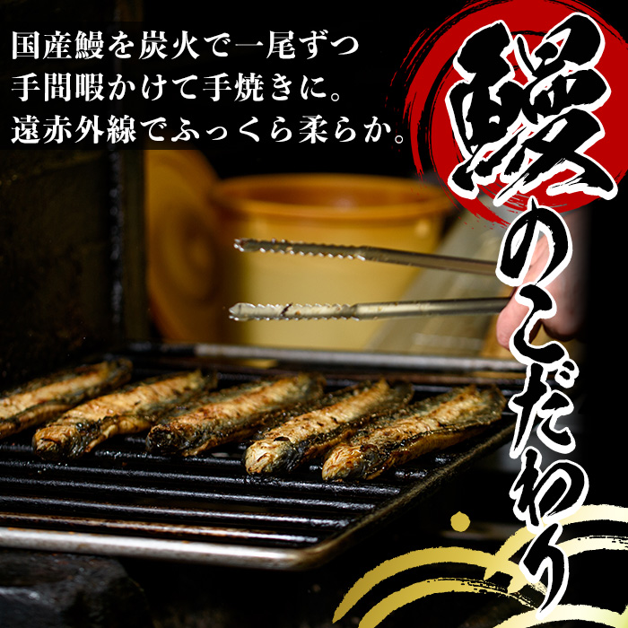 y489 国産！うなぎ白焼き(5尾・タレ付き) 国産 九州産 鰻 ウナギ 有頭 魚 魚介類 かばやき 蒲焼 蒲焼き しろやき 白焼 おかず 特産品 お土産 ギフト プレゼント 冷蔵【尾方屋】