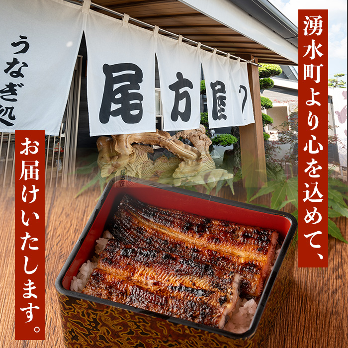 y489 国産！うなぎ白焼き(5尾・タレ付き) 国産 九州産 鰻 ウナギ 有頭 魚 魚介類 かばやき 蒲焼 蒲焼き しろやき 白焼 おかず 特産品 お土産 ギフト プレゼント 冷蔵【尾方屋】