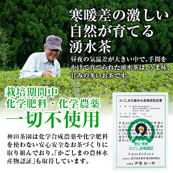 y313 《数量限定》鹿児島県湧水町産！栽培期間中農薬・化学肥料不使用！湧水上煎茶(100g×5本)【神田茶園】