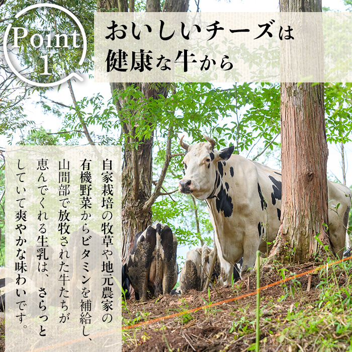 y466 放牧牛乳の手作りチーズセット(5種) 国産 鹿児島県産 湧水町産 乳製品 ちーず 生チーズ モッツァレラチーズ ボッコンチーニ クリームチーズ ストリングチーズ スカモルツァ 調味料 おつまみ おやつ 濃厚 手作り 食べ比べ 詰め合わせ 【西ノ村ファーム】