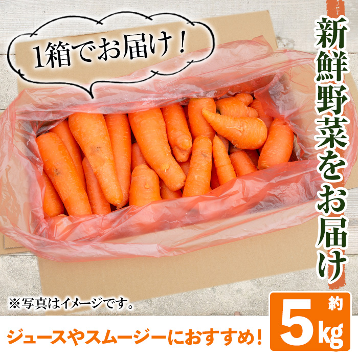 y503 ≪訳あり・数量限定≫湧水町産有機にんじん(約5kg) 国産 九州産 鹿児島産 有機野菜 有機栽培 にんじん 人参 ニンジン キャロットジュース 野菜 やさい おかず 旬 わけあり 訳アリ 不揃い 規格外 期間限定 数量限定 オーガニック 健康【そのやま農園】