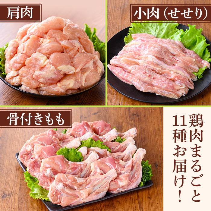 y539 鹿児島県産若鶏まるごとセット(合計3.05kg) 国産 鶏肉 鳥肉 肉 若鶏 お肉 もも肉 モモ肉 むね肉 ムネ肉 胸肉 ささみ ササミ 筋なし 砂肝 肝 手羽先 キチンリブ 手羽元 肩肉 小肉 骨付きモモ セット 詰め合わせ 小分け 冷凍 真空パック 食べ比べ 【TRINITY】