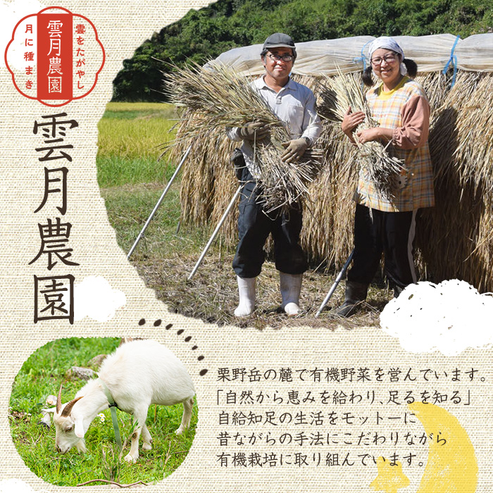 y173 《栽培期間中農薬化学肥料不使用》 鹿児島県産 ヒノヒカリ 白米(3kg) 国産 九州産 鹿児島県産 湧水町産 ひのひかり お米 おこめ オコメ 米 こめ コメ 白米 ご飯 ごはん 化学肥料不使用 農薬不使用 有機 有機農業 有機肥料 【雲月農園】