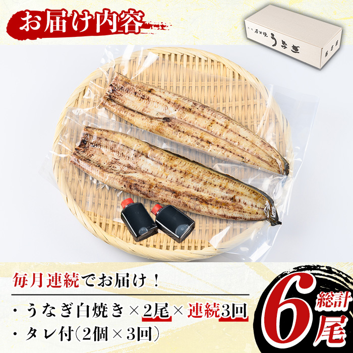 y491ãå®æäŸ¿ã»å
š3åãåœç£ïŒããªãçœçŒã(2å°ŸÃ3åã»ã¿ã¬ä»ã) åœç£ ä¹å·ç£ é°» ãŠãã® ç¡é é éä»é¡ ãã°ãã è²çŒ è²çŒã ãããã çœçŒ ããã ç¹ç£å ãåç£ ã®ãã ãã¬ãŒã³ã å·èµ å®æäŸ¿ãå°Ÿæ¹å±ã