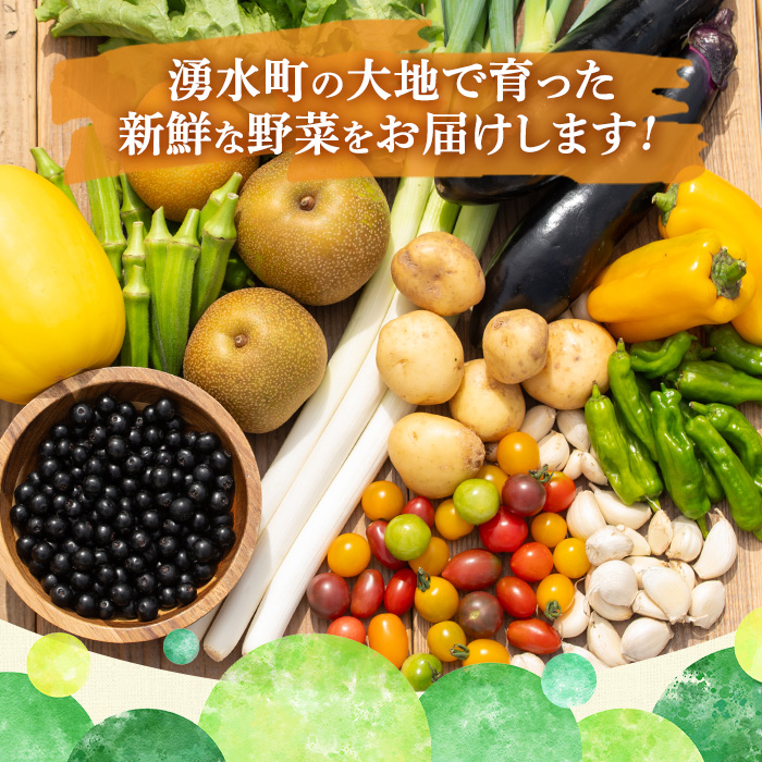 y359 《定期便・全6回》野菜と果物旬の詰め合わせ(12〜14品目)【鹿児島県経済農業協同組合連合会】