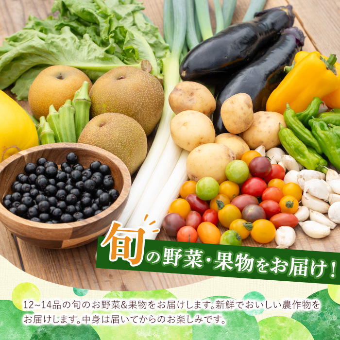 y359 《定期便・全6回》野菜と果物旬の詰め合わせ(12～14品目) 国産 九州産 鹿児島県産 野菜 やさい 果物 くだもの フルーツ デザート 詰め合わせ お楽しみ セット 旬 【鹿児島県経済農業協同組合連合会】