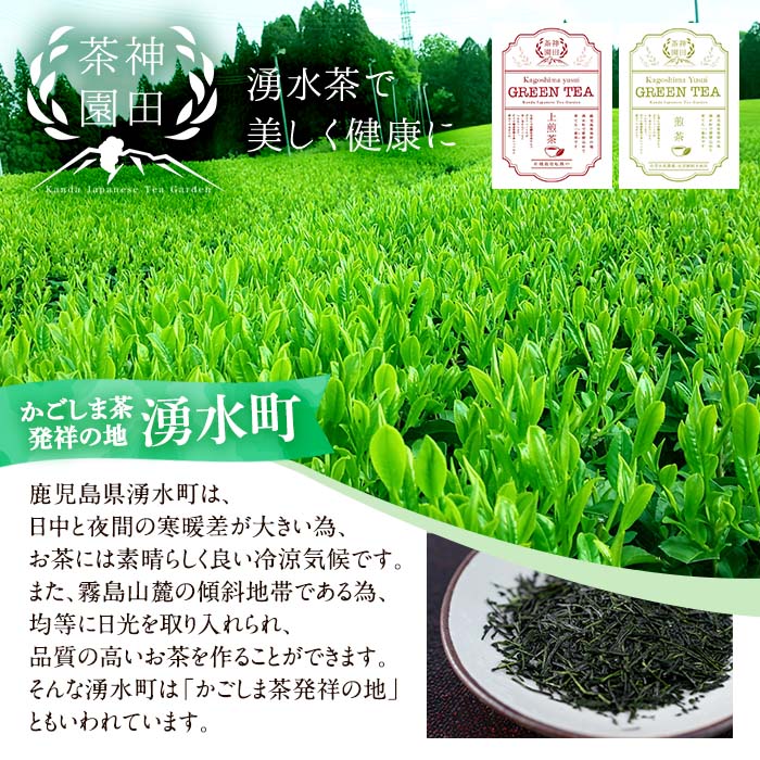 y313 《数量限定》鹿児島県湧水町産！栽培期間中農薬・化学肥料不使用！湧水上煎茶(100g×5本)【神田茶園】