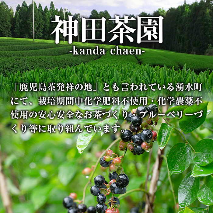 y313 《数量限定》鹿児島県湧水町産！栽培期間中農薬・化学肥料不使用！湧水上煎茶(100g×5本)【神田茶園】