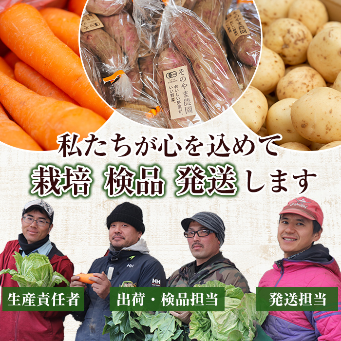 y329-A ≪通常サイズ(1個あたり100g~)≫湧水町産有機さつまいも「紅はるか」(計10kg) 国産 九州産 鹿児島産 有機栽培 サツマイモ 生芋 芋 焼き芋 やきいも べにはるか 天ぷら おかず 野菜 おやつ スイーツ 旬 常温 常温保存【そのやま農園】