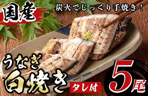 y489 国産！うなぎ白焼き(5尾・タレ付き) 国産 九州産 鰻 ウナギ 有頭 魚 魚介類 かばやき 蒲焼 蒲焼き しろやき 白焼 おかず 特産品 お土産 ギフト プレゼント 冷蔵【尾方屋】