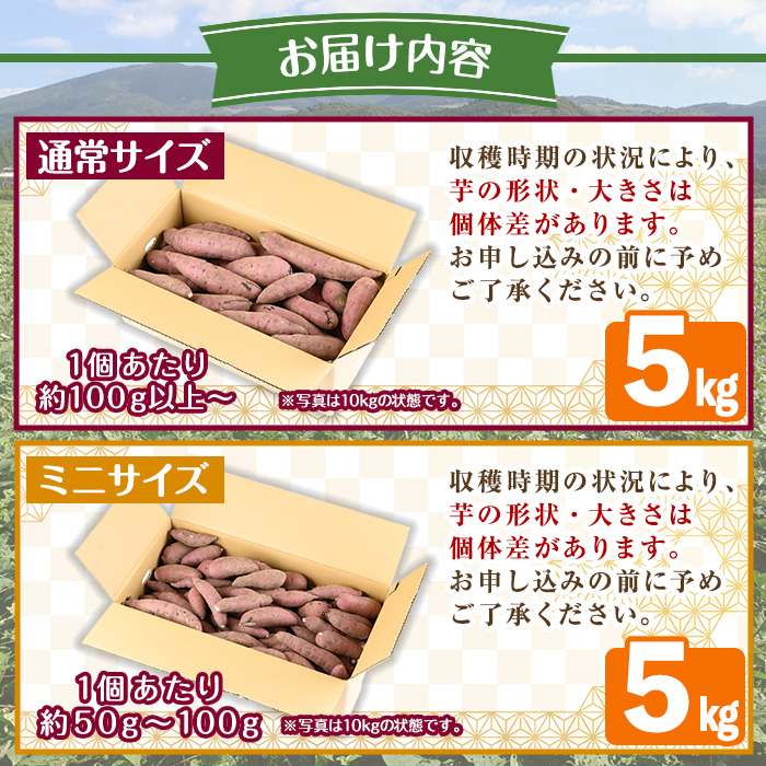 y329-D ≪ミニサイズ(1個あたり50g~100g)≫湧水町産有機さつまいも「紅はるか」(計5kg) 国産 九州産 鹿児島産 有機栽培 サツマイモ 生芋 芋 焼き芋 やきいも べにはるか ミニ ミニサイズ 天ぷら おかず 野菜 おやつ スイーツ 旬 常温 常温保存【そのやま農園】