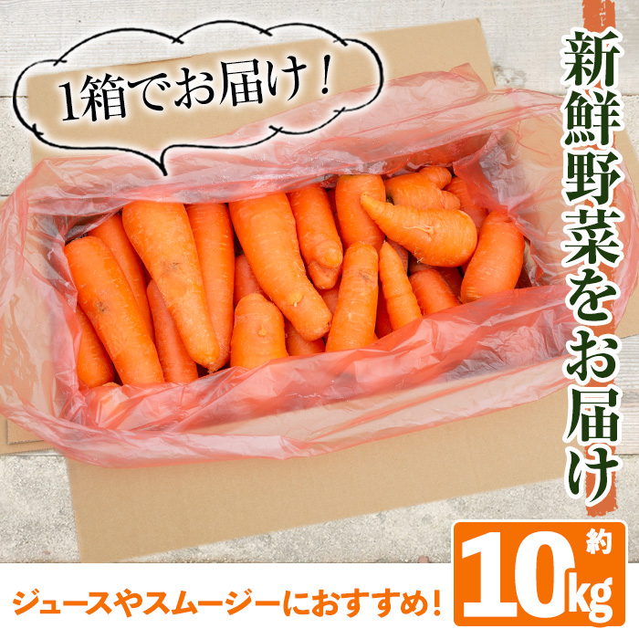 y161 ≪訳あり・数量限定≫湧水町産有機にんじん(10kg) 国産 九州産 鹿児島産 有機野菜 有機栽培 にんじん 人参 ニンジン キャロットジュース 野菜 やさい おかず 旬 わけあり 訳アリ 不揃い 規格外 期間限定 数量限定 オーガニック 健康【そのやま農園】