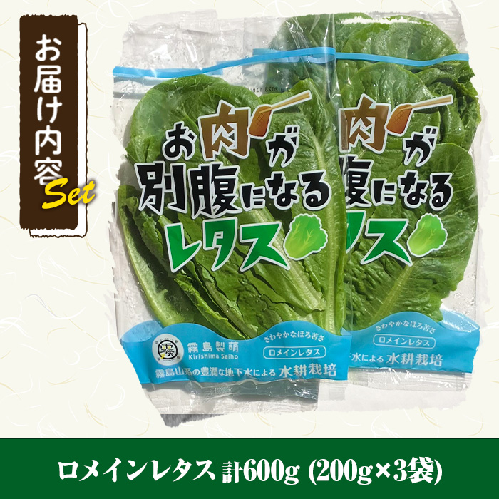 y470 お肉が別腹になるレタス 計600g (200g×3袋) 国産 九州産 鹿児島県産 湧水町産 野菜 やさい レタス ロメインレタス 焼肉 焼き肉 バーベキュー BBQ 冷しゃぶ サラダ 水耕栽培【霧島製萌】