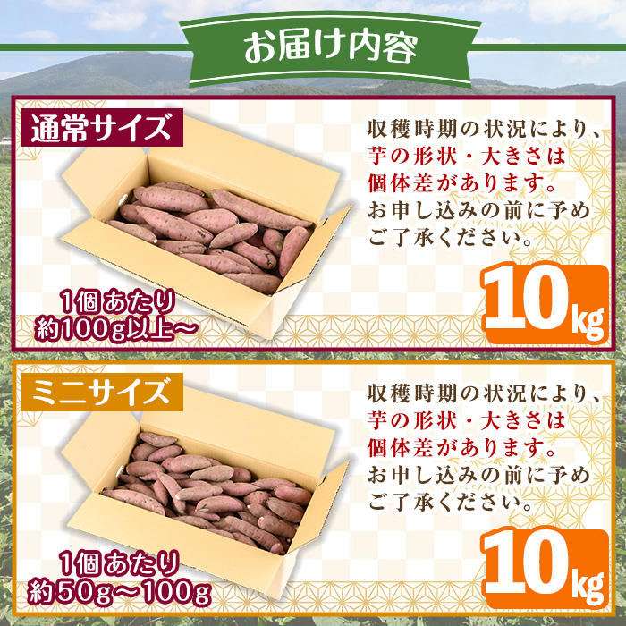 y329-A ≪通常サイズ(1個あたり100g~)≫湧水町産有機さつまいも「紅はるか」(計10kg) 国産 九州産 鹿児島産 有機栽培 サツマイモ 生芋 芋 焼き芋 やきいも べにはるか 天ぷら おかず 野菜 おやつ スイーツ 旬 常温 常温保存【そのやま農園】