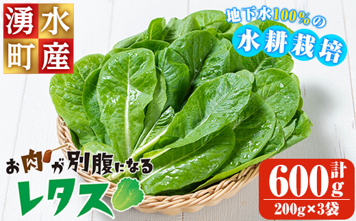 y470 お肉が別腹になるレタス 計600g (200g×3袋) 国産 九州産 鹿児島県産 湧水町産 野菜 やさい レタス ロメインレタス 焼肉 焼き肉 バーベキュー BBQ 冷しゃぶ サラダ 水耕栽培【霧島製萌】