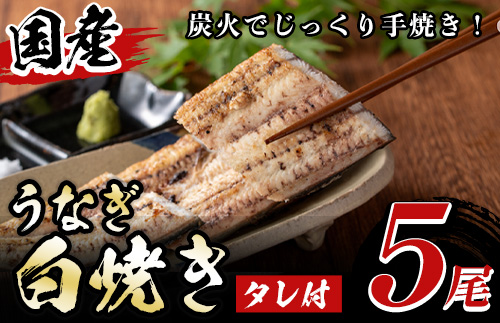 y489 国産！うなぎ白焼き(5尾・タレ付き) 国産 九州産 鰻 ウナギ 無頭 魚 魚介類 かばやき 蒲焼 蒲焼き しろやき 白焼 おかず 特産品 お土産 ギフト プレゼント 冷蔵【尾方屋】