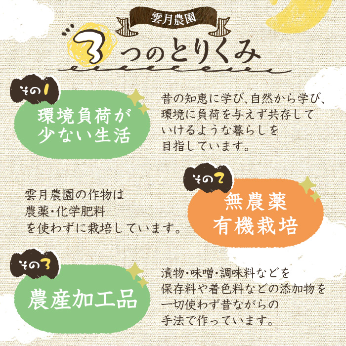 y456 《数量限定》薬膳味噌(ハトムギ味噌)(計800g・400g×2パック) 味噌 麦味噌 自家栽培 ハトムギ 玄米麹 ハトムギ麹 麦麹 麹 こうじ 玄米 大豆 黒大豆 みそ汁 味噌汁 化学肥料不使用 農薬不使用 有機 有機農業 有機肥料【雲月農園】