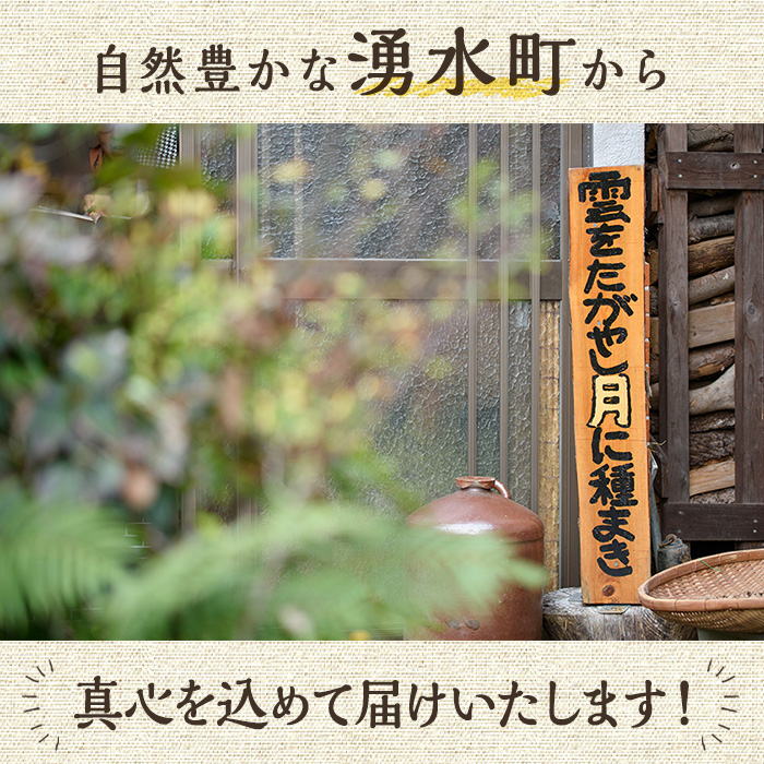 y454-R802 《訳あり！先行予約！2026年2月以降順次発送》発芽玄米餅 計30個(プレーン6個×5袋) ラベルレス！栽培期間中農薬・化学肥料不使用の自家製もち玄米をお餅に！ お餅 餅 おもち もち げんまい 玄米 農薬不使用 化学肥料不使用 訳あり 訳アリ ワケあり ラベルレス オーガニック 有機 有機農業 【雲月農園】