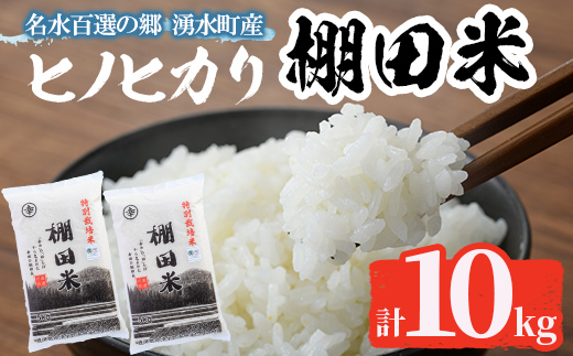 C09 鹿児島県産ひのひかり 棚田米10kgセット(5kg×2袋) 国産 九州産 鹿児島県産 湧水町産 10kg 新米 お米 おこめ 米 白米 ご飯 ごはん おにぎり ひのひかり ヒノヒカリ 令和7年産 【くりの物産館】