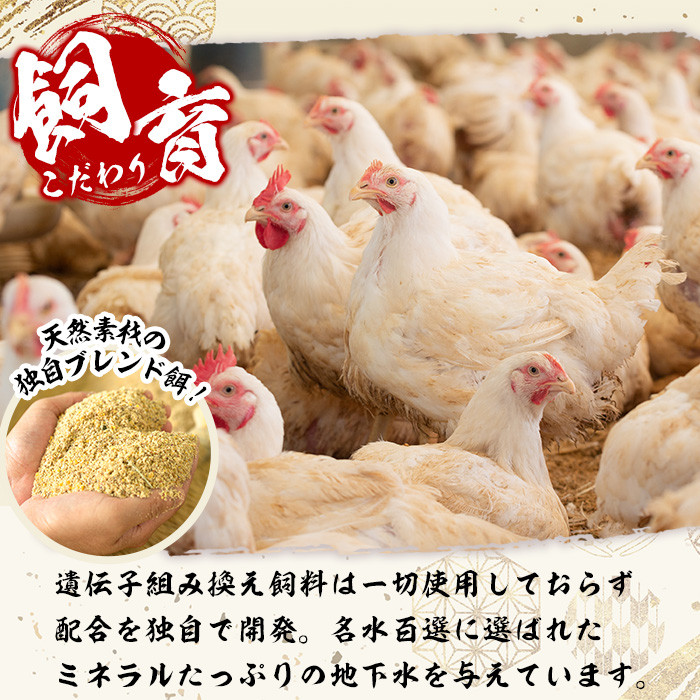 y115 ＜2026年5月発送分(5月31日迄に発送)＞鹿児島県産！自家製鶏の5種バラエティセット(約2.5kg) 国産 九州産 鳥刺し 鶏刺し 鳥さし 鶏さし とりさし 加熱用 鶏肉 とり肉 手羽先 細切れ ナンコツ とり お肉 肉 刺身 おつまみ タレ 生姜 甘口醤油 醤油付き 小分け 冷凍【早水鶏肉店】