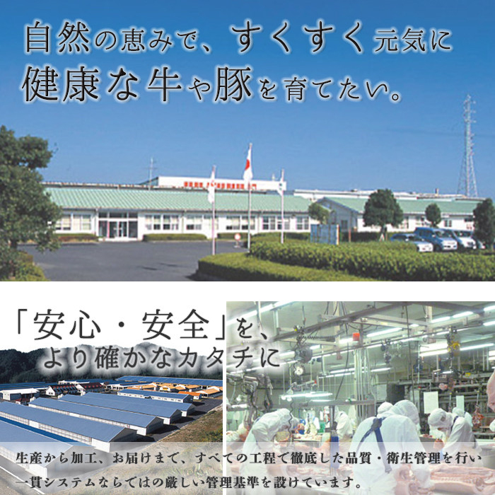 y189 《数量限定》D101 鹿児島黒牛すきやきセット(総合計600g) 国産 九州産 牛肉 黒毛和牛 和牛 国産牛 お肉 スライス すき焼き しゃぶしゃぶ 小分け 冷凍【湧水町JAあいら】