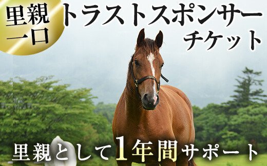 y241 馬主のいない馬を助けたい！トラストスポンサーチケット(1枚) 里親として1年間サポートするシステムです 馬 競走馬 競馬 乗馬 乗用馬 里親 ペット サポート【NPO法人ホーストラスト】