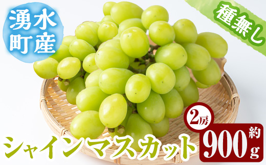 y417 ≪先行予約受付中！2026年8月中旬以降順次発送≫ シャインマスカット(約900g・2房) 国産 九州産 鹿児島産 シャインマスカット マスカット 葡萄 ぶどう ブドウ 果物 くだもの フルーツ 贈答 贈り物 ギフト プレゼント 旬 【大倉野 隆】