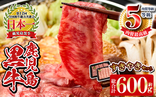 y189 《数量限定》D101 鹿児島黒牛すきやきセット(総合計600g) 国産 九州産 牛肉 黒毛和牛 和牛 国産牛 お肉 スライス すき焼き しゃぶしゃぶ 小分け 冷凍【湧水町JAあいら】