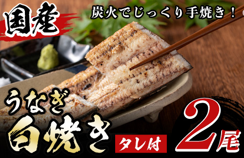 y134 国産！うなぎ白焼き(2尾・タレ付き)  国産 九州産 鰻 ウナギ 無頭 魚 魚介類 かばやき 蒲焼 蒲焼き しろやき 白焼 おかず 特産品 お土産 ギフト プレゼント 冷蔵【尾方屋】