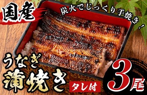 A01 国産！うなぎ蒲焼き(3尾・タレ付き) 国産 九州産 鹿児島県 宮崎県 鰻 ウナギ unagi うな重 うな丼 ひつまぶし うなじゅう 蒲焼 かばやき 無頭 魚 魚介類 土用 丑の日 タレ タレ付 おかず 惣菜 冷蔵 特産品 お土産 ギフト プレゼント ご贈答 真空パック 湯煎 レンジ 簡単調理 【尾方屋】