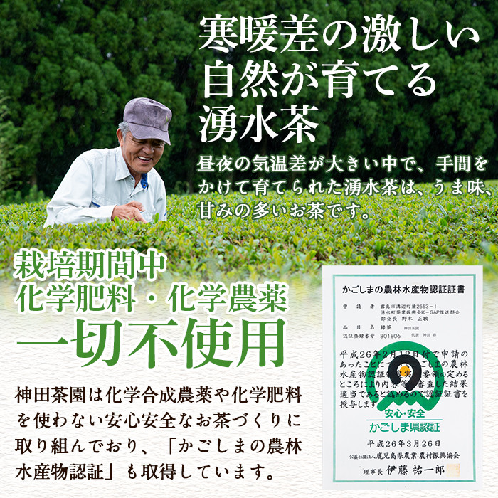 y519 鹿児島県湧水町産！栽培期間中農薬・化学肥料不使用！湧水煎茶ティーバッグ 計40個(20個×2袋) 国産 九州産 鹿児島県産 茶葉 お茶 茶 日本茶 緑茶 煎茶 ティーバッグ ギフト 贈答 プレゼント 贈り物 【神田茶園】