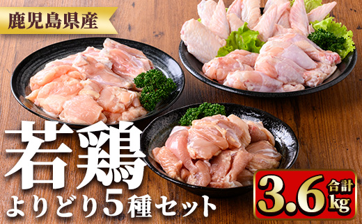 y545 鹿å
å³¶çç£è¥é¶ããã©ãã»ãã(åèš3.6kg) åœç£ é¶è é³¥è è è¥é¶ ãè ããè ã¢ã¢è æçŸœå
æçŸœäž ããã³ãªã æçŸœå
è©è ã»ãã è©°ãåãã å°åã å·å ç空ãã㯠é£ã¹æ¯ã¹ ãTRINITYã